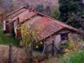 Cascina Strelle - Rio Bò